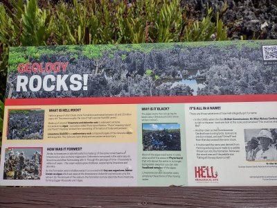 IMG_20220621_142914574_HDR.jpg