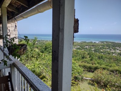 IMG_20220622_102359290_HDR.jpg