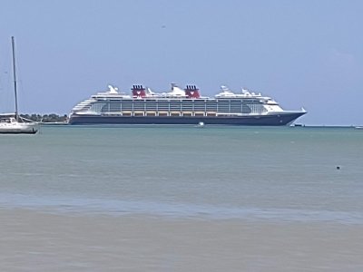 IMG_20220622_114155939.jpg
