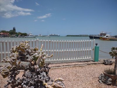 IMG_20220622_114247780.jpg