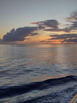 IMG_20220623_195509766_HDR.jpg