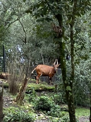 IMG_3773.JPEG
