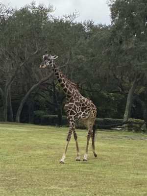 IMG_3788.JPEG