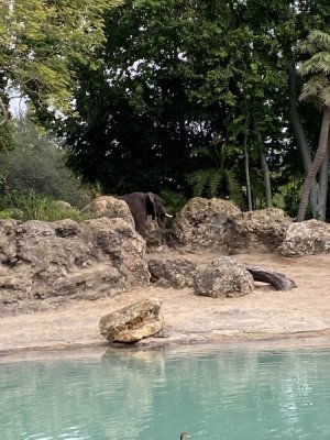 IMG_3807.JPEG