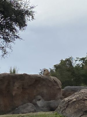 IMG_3816.JPEG