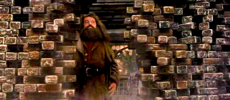 A8A21D77-51FE-45A7-BD7B-CEECB1A671B6.gif