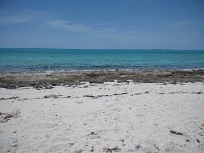 IMG_20220624_135252902.jpg