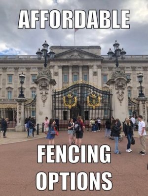 buckingham palace meme.jpg