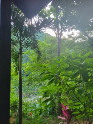 20220820_063457.jpg
