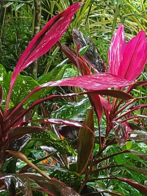 20220825_140014.jpg