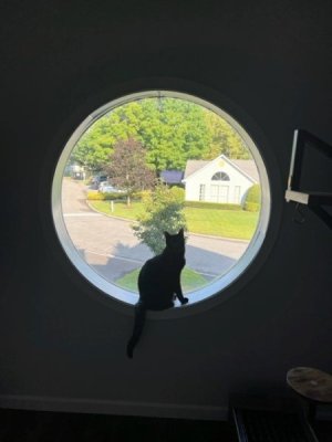 Luna 4.jpg