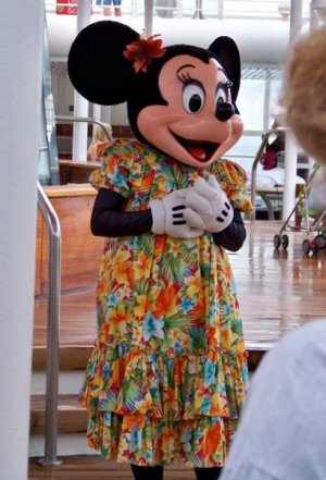 C51C7438-27B0-4A4C-A040-BBBC1D30B59F.jpeg