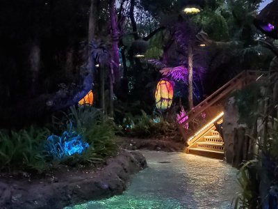 20220619_204902.jpg