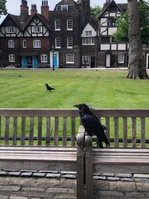 beefeater homes.jpg