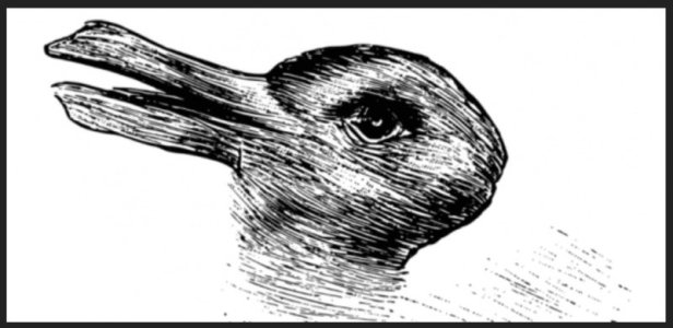 Duck vs Rabbit Image.jpg