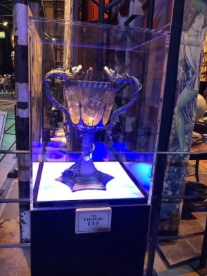 triwizard cup port key.jpg