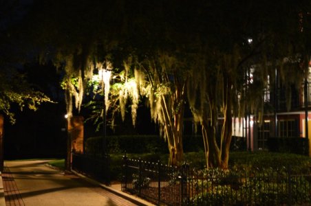 DSC_0118_POFQ-night copy.jpg
