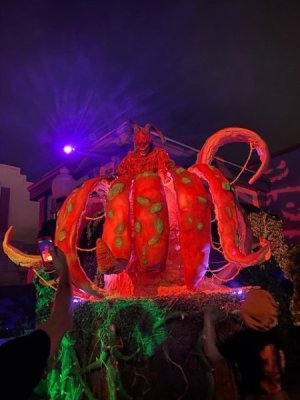 hhn1.jpg