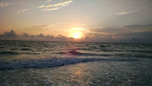 IMG_20160616_201432987.jpg