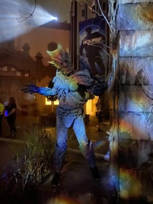 hhn2.jpg