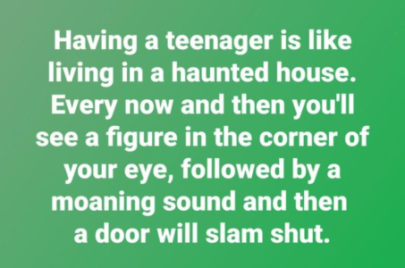 1662584958345.png