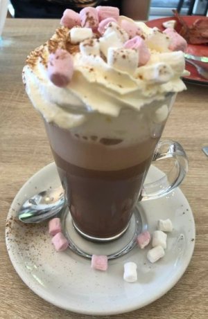 matilda's hot chocolate.jpg