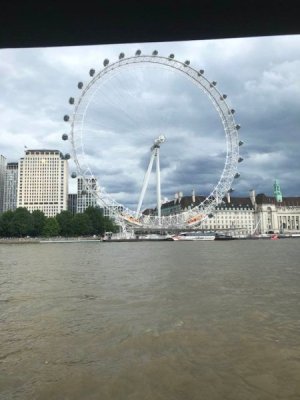 the eye.jpg