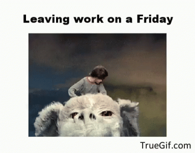 1662721588964.gif