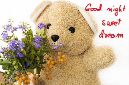 Sweet Dreams.jpg