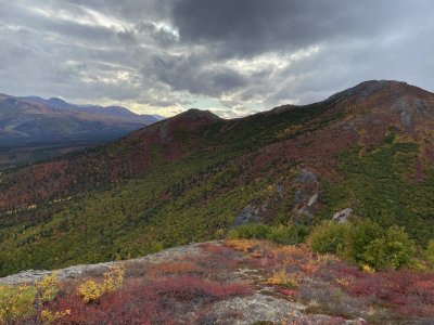 E5885364-AABF-4C14-9C41-B78D49AEA1E0.jpeg