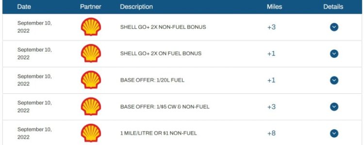 shell9.jpg