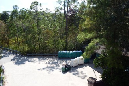 DSCF4451.JPG