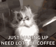 1663057516421.gif