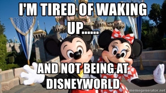 1663069230630.png