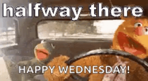 1663149749818.gif