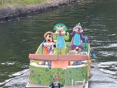IMG_0294.JPG