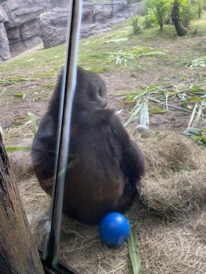 IMG_3841.JPEG