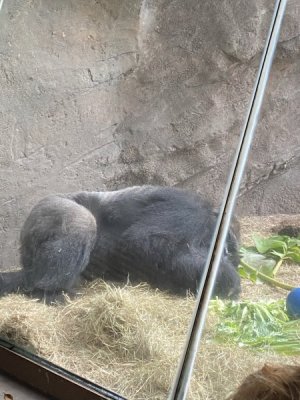 IMG_3842.JPEG