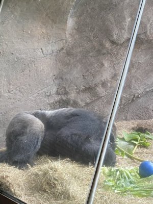 IMG_3843.JPEG