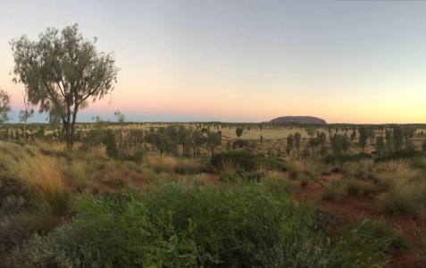 Uluru - Outback.jpg