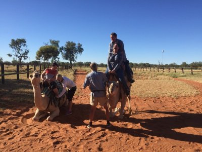 Camels OZ.jpg