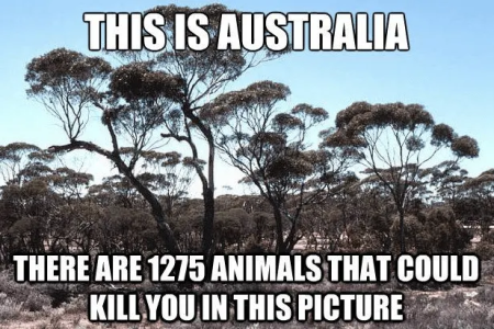 1663256716213.png