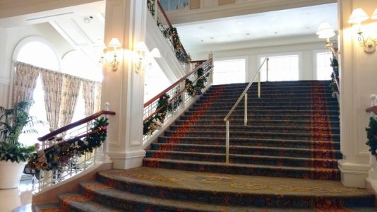 IMG_20181208_113613443.jpg
