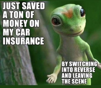 9E52DFE3-9B42-4B72-8186-4C3588680124.jpeg