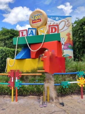 Toy Storyland (Medium).jpg