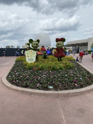 41457566-D493-4218-B306-44387BAC1D7B.jpeg