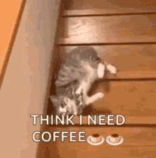 1663493185753.gif
