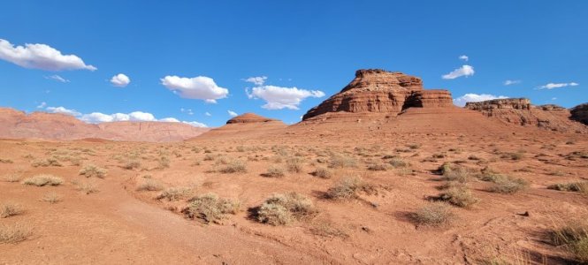 20220703_172742.jpg