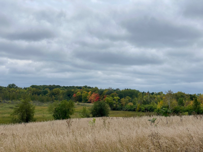 C75E2CB7-0C4D-4DFD-92A4-BD587C1F9016.jpg