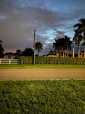 IMG_2461.jpg